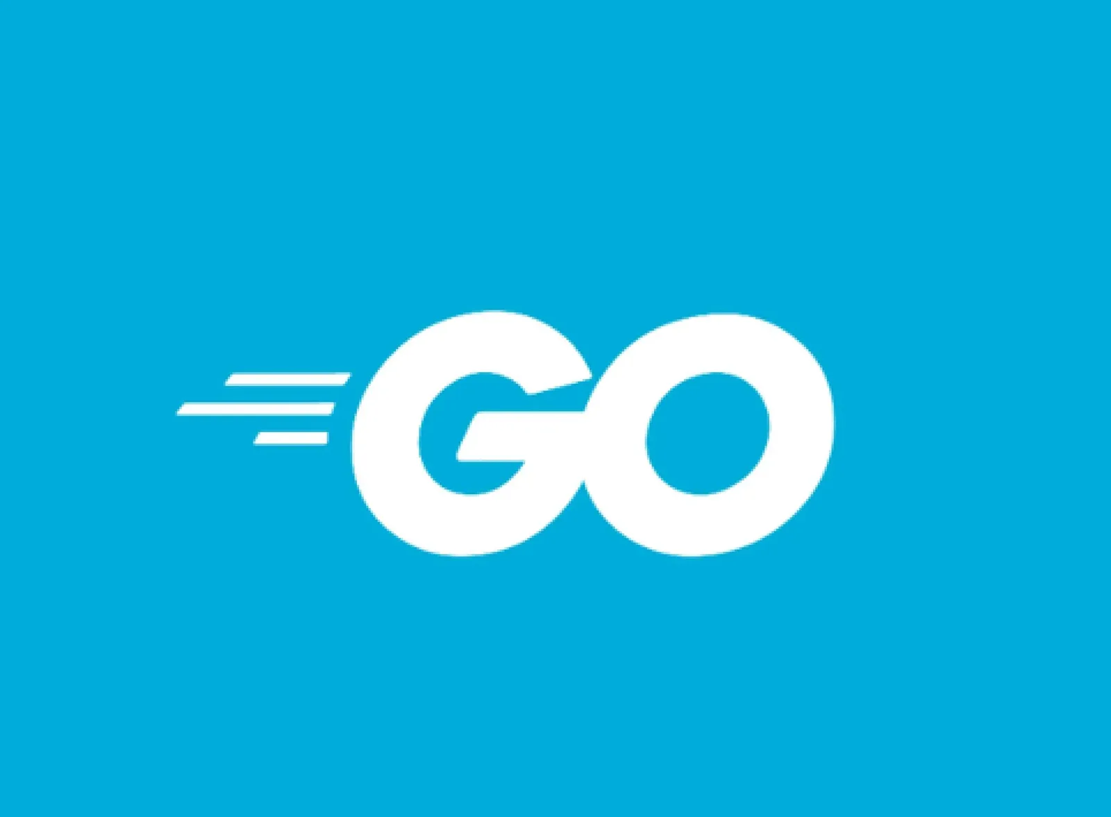 Go: acertos e deficiências, segundo os próprios devs